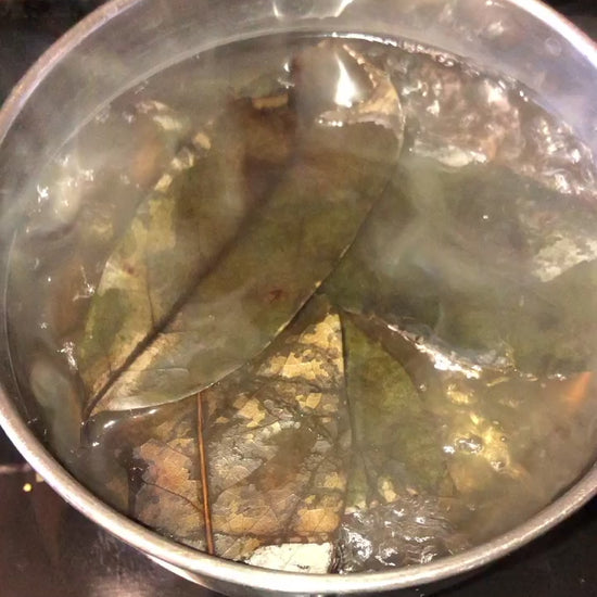 Soursop Leaves Boiling