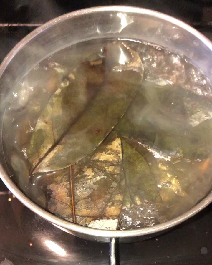 Soursop Leaves Boiling